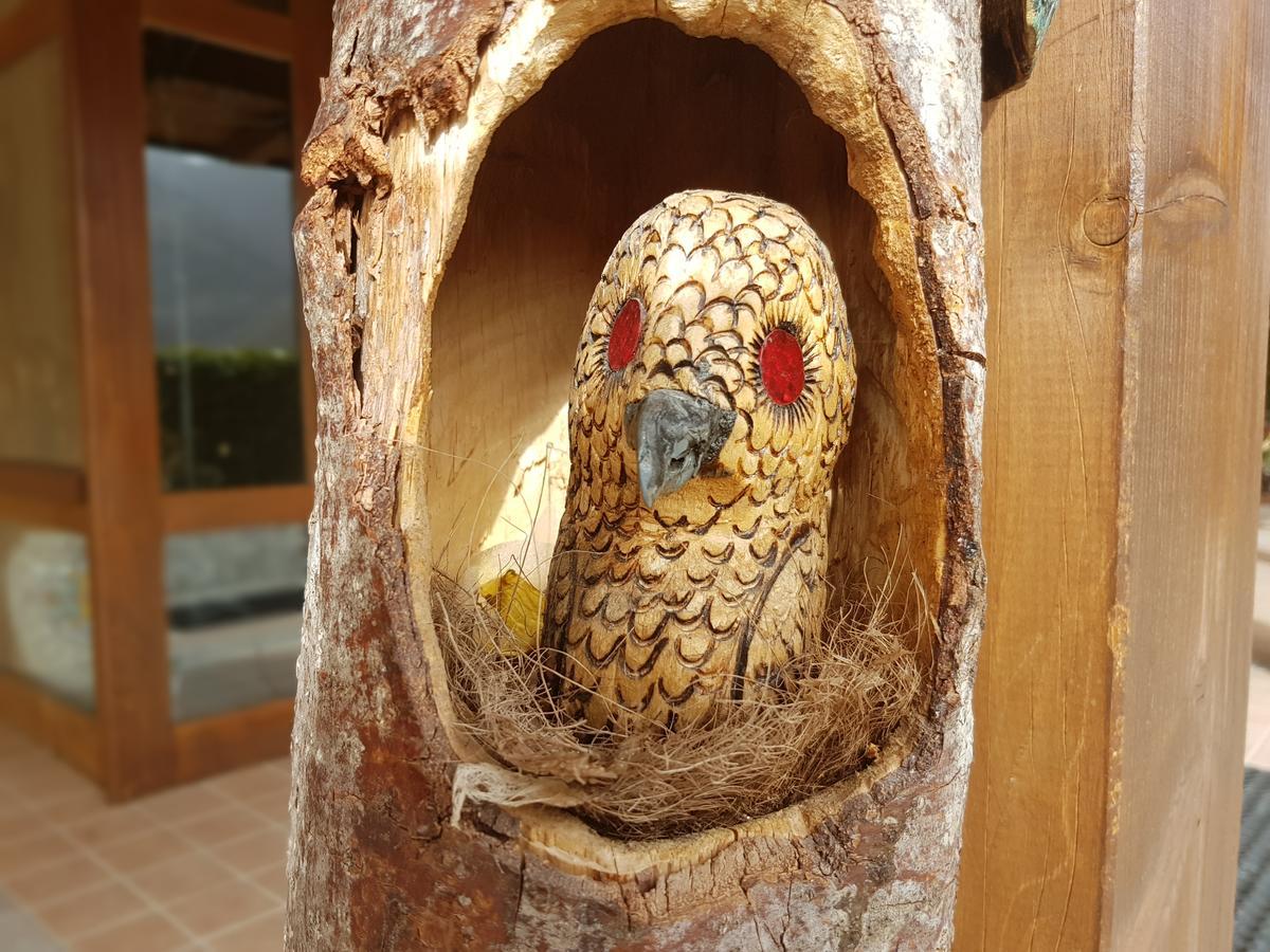 Le Chalet Del Pollino Rotonda Dış mekan fotoğraf