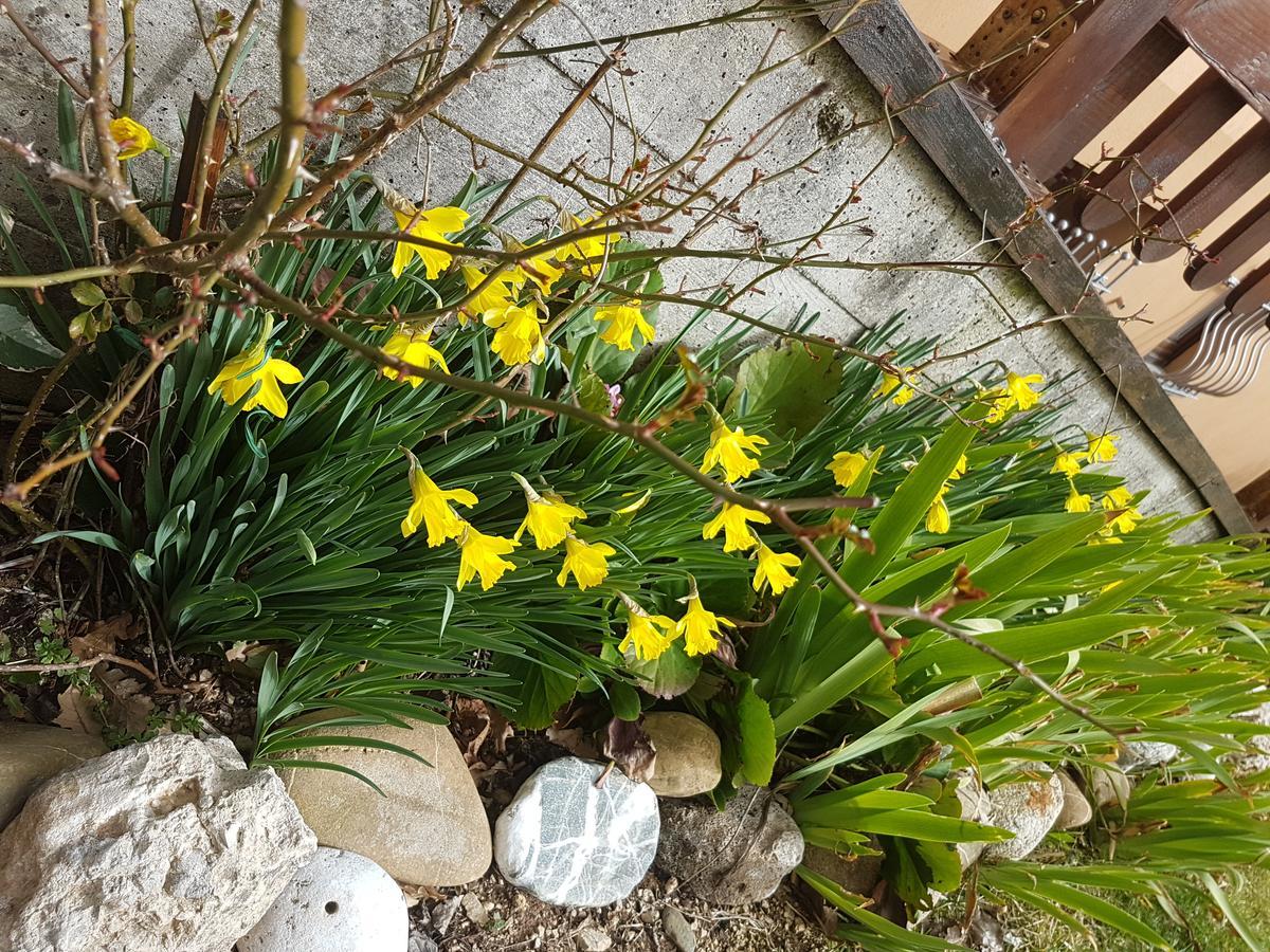 Le Chalet Del Pollino Rotonda Dış mekan fotoğraf