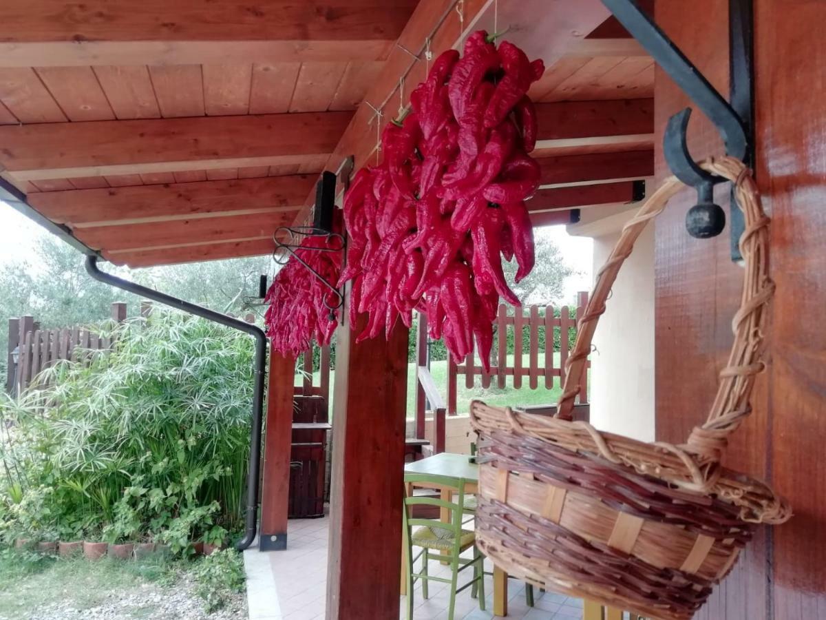 Le Chalet Del Pollino Rotonda Dış mekan fotoğraf