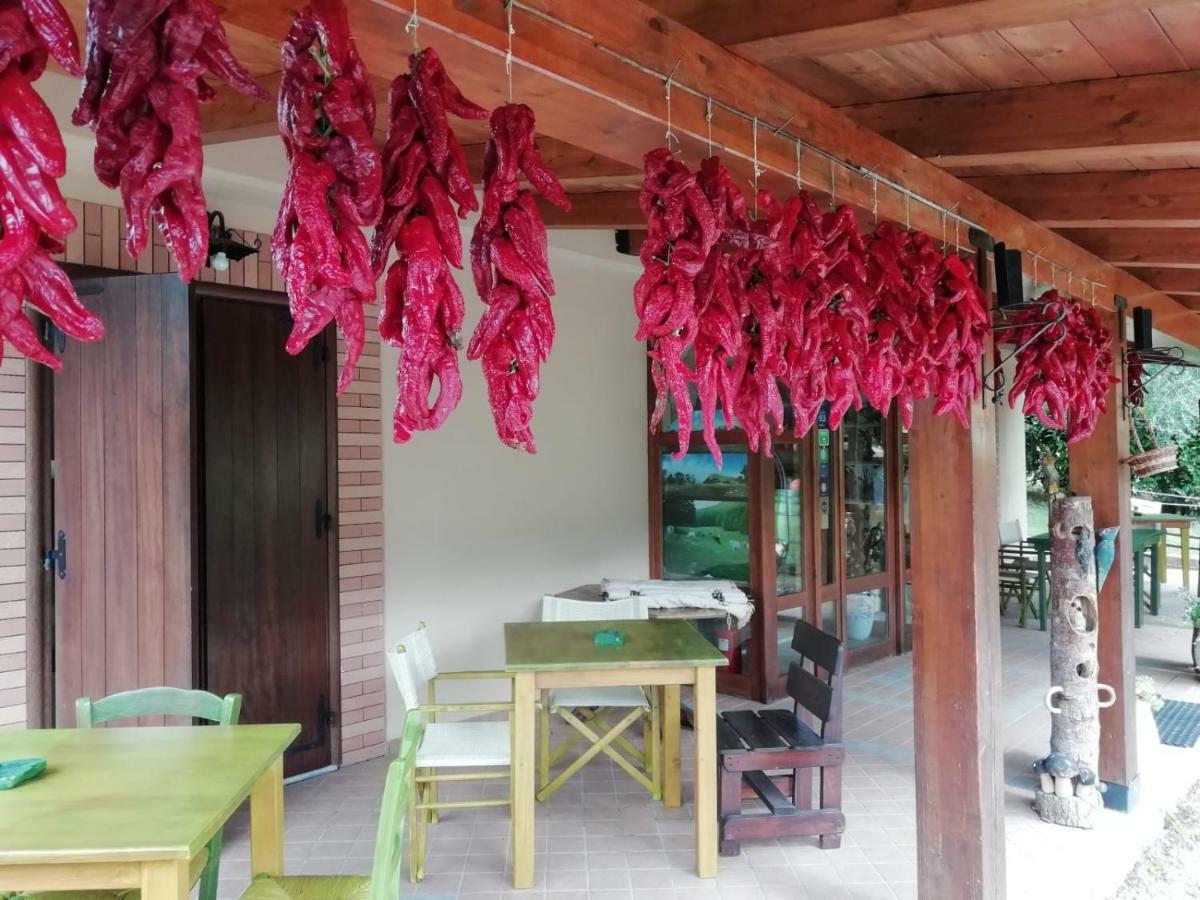 Le Chalet Del Pollino Rotonda Dış mekan fotoğraf